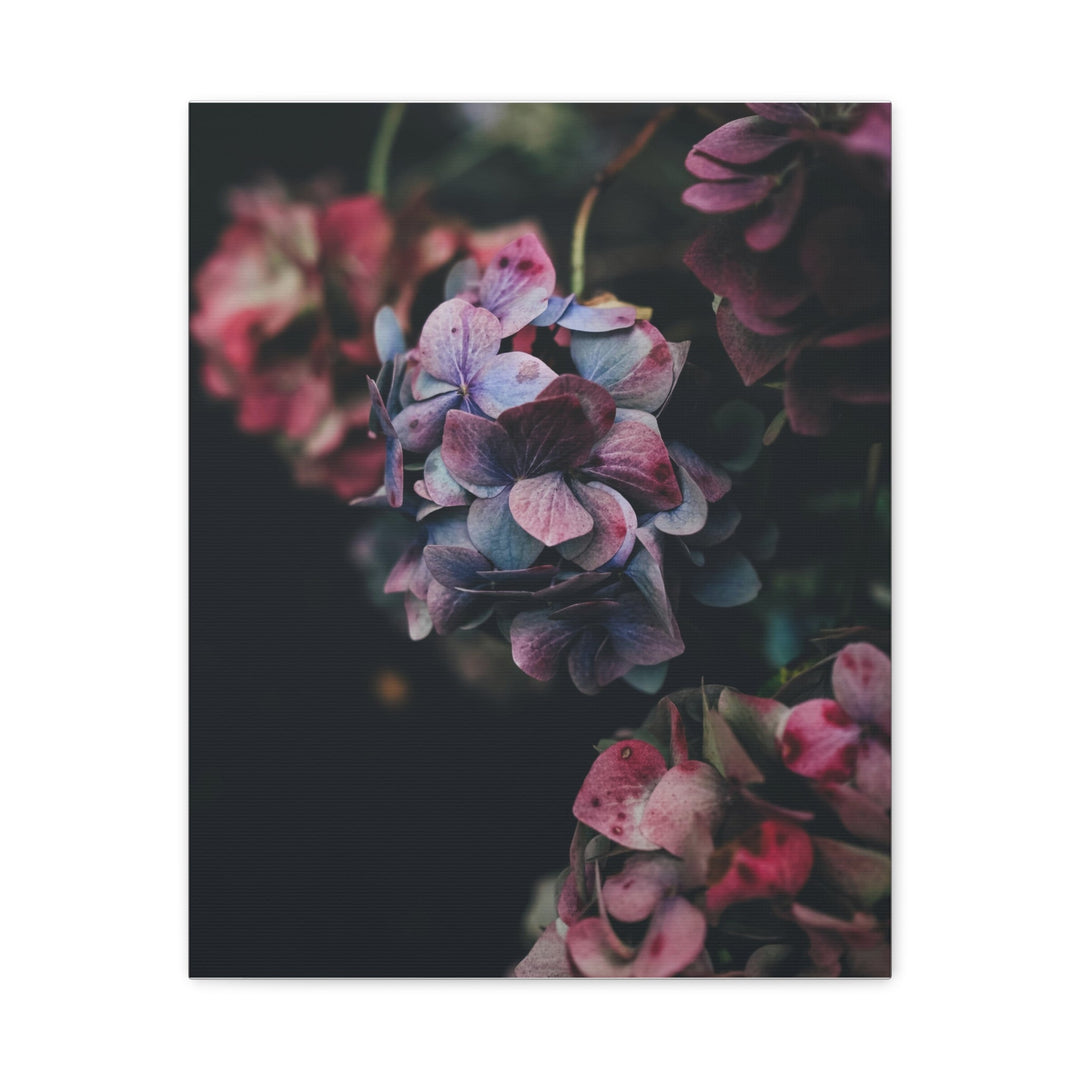 Soft Meadow - Modern Oasis Sensory Design & Art Studio - Canvas