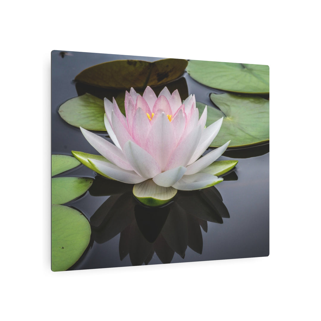 Serene Water Lily Wall Art - Modern Oasis Sensory Design & Art Studio - Home Decor