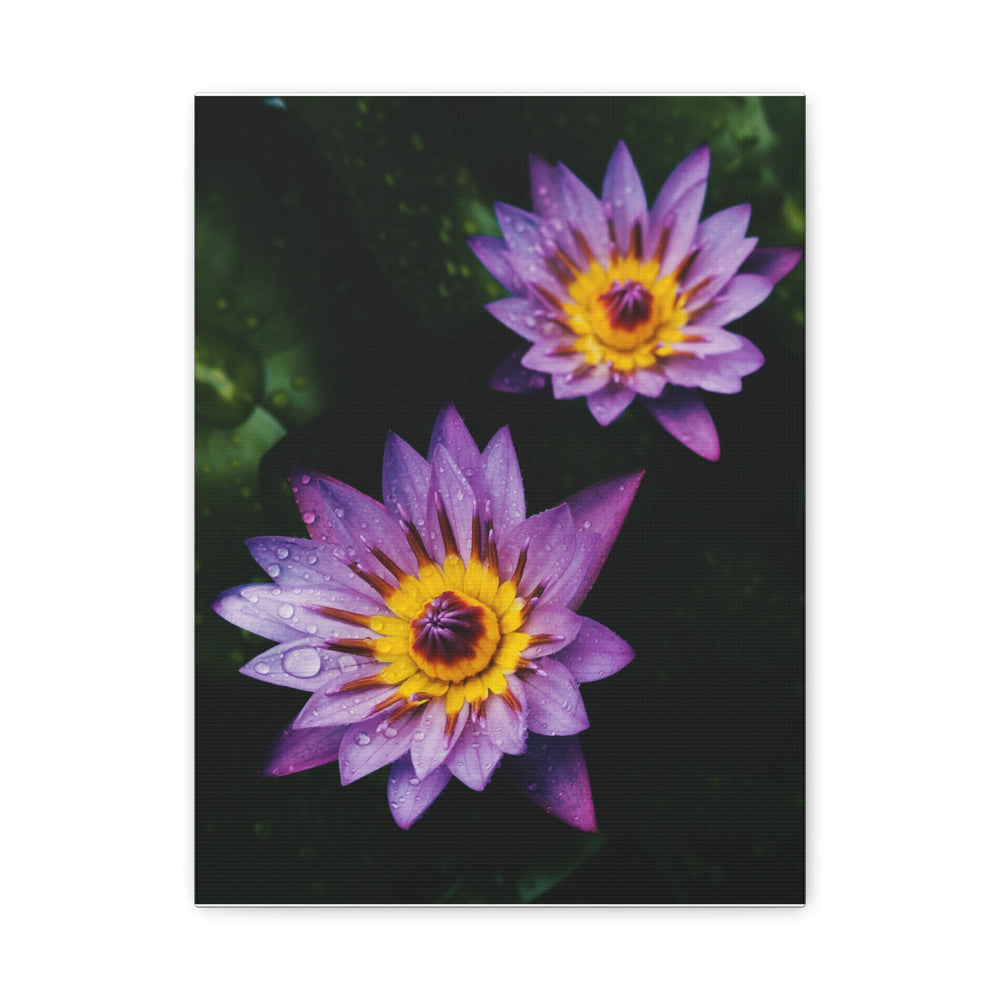 Beautiful Floral - Modern Oasis Sensory Design & Art Studio - Canvas