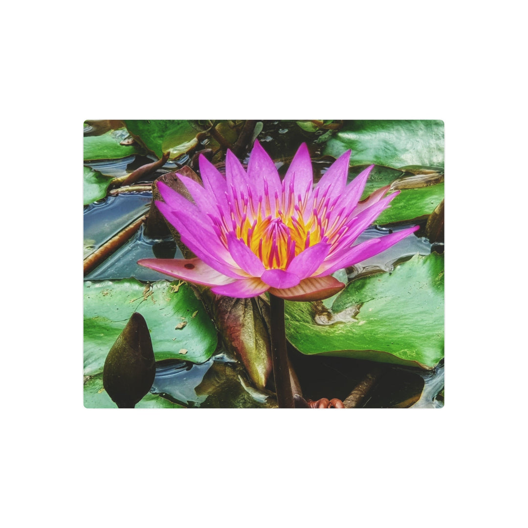 Vibrant Water Lily Metal Art - Modern Oasis Sensory Design & Art Studio - Home Decor