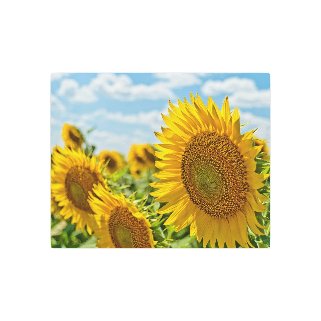 Sunflower Radiance Metal Art - Modern Oasis Sensory Design & Art Studio - Home Decor