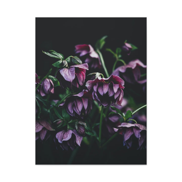 Artistic Floral - Modern Oasis Sensory Design & Art Studio - Canvas
