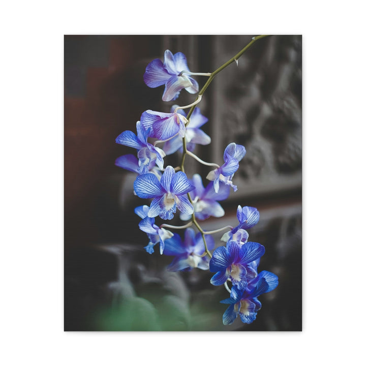 Orchid Blooms - Modern Oasis Sensory Design & Art Studio - Canvas
