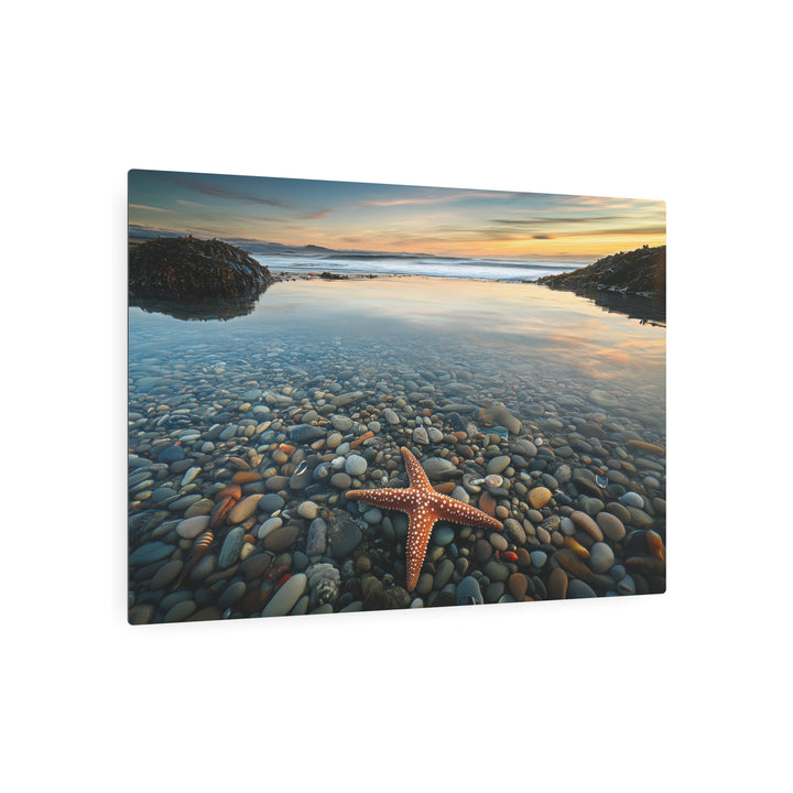 Starfish Calm Metal Art - Modern Oasis Sensory Design & Art Studio - Home Decor