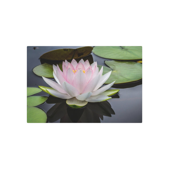 Serene Water Lily Wall Art - Modern Oasis Sensory Design & Art Studio - Home Decor