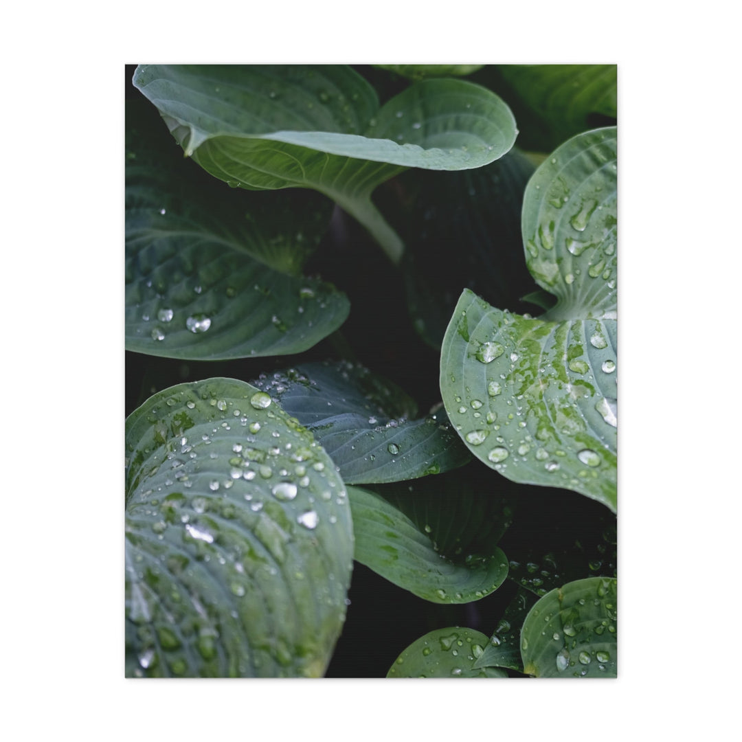 Tranquil Leaves - Modern Oasis Sensory Design & Art Studio - Canvas