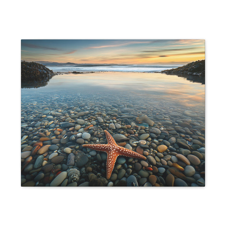 Starfish Calm - Modern Oasis Sensory Design & Art Studio - Canvas