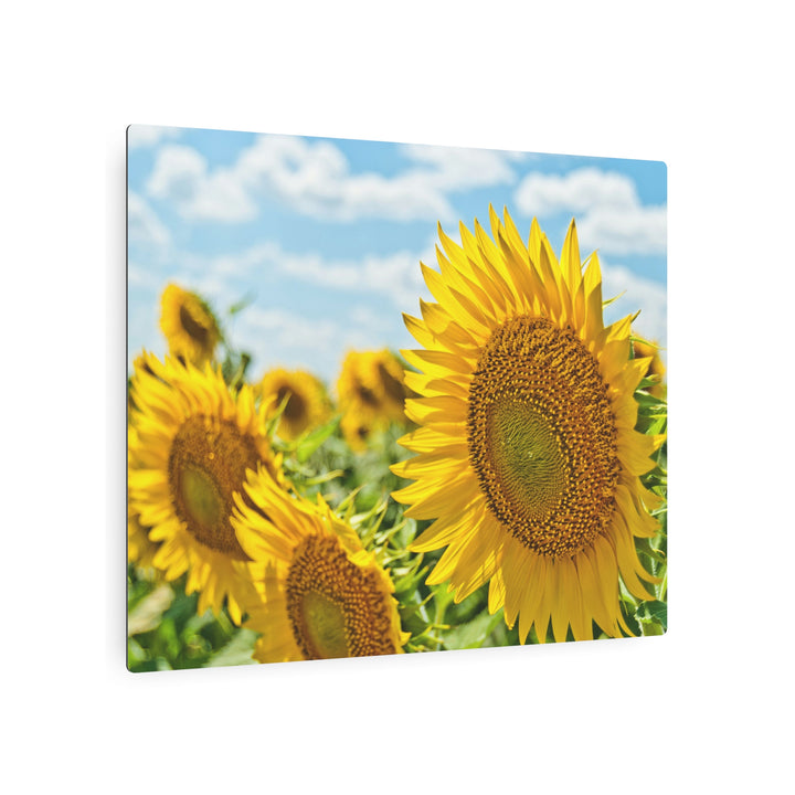 Sunflower Radiance Metal Art - Modern Oasis Sensory Design & Art Studio - Home Decor