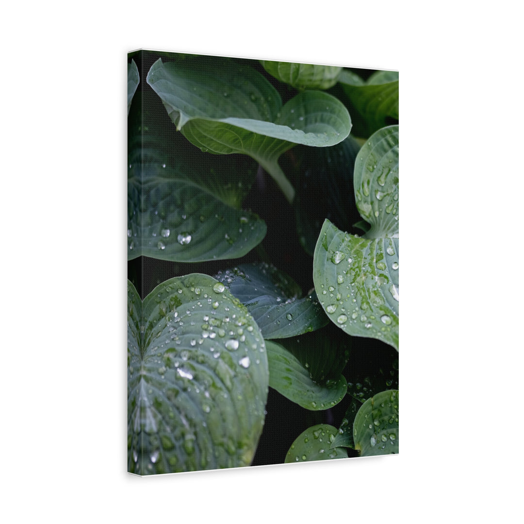 Tranquil Leaves - Modern Oasis Sensory Design & Art Studio - Canvas