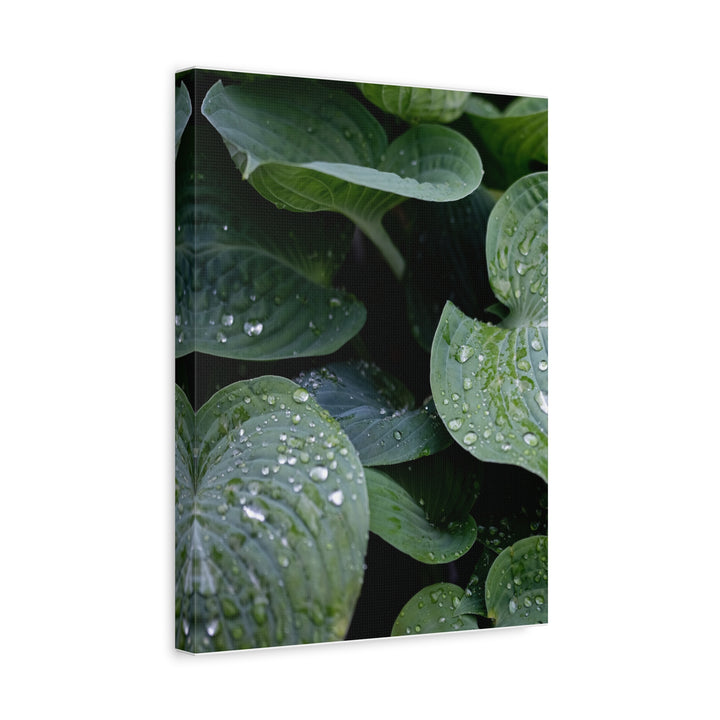 Tranquil Leaves - Modern Oasis Sensory Design & Art Studio - Canvas