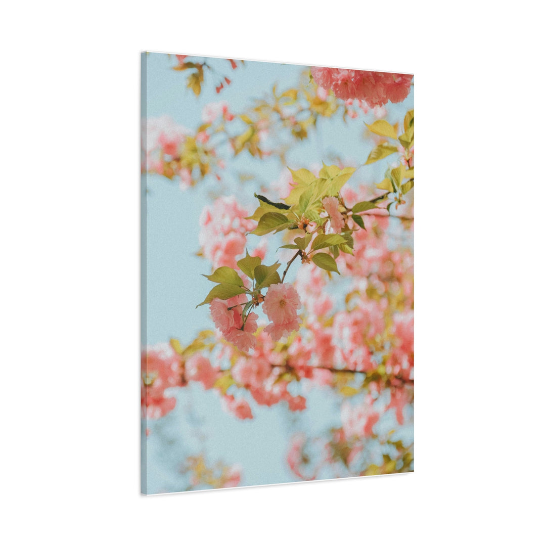Peace Petals - Modern Oasis Sensory Design & Art Studio - Canvas