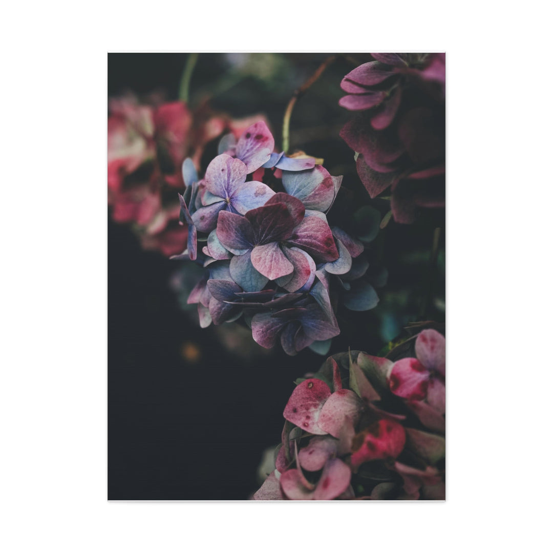 Soft Meadow - Modern Oasis Sensory Design & Art Studio - Canvas