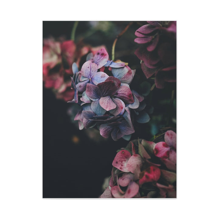 Soft Meadow - Modern Oasis Sensory Design & Art Studio - Canvas