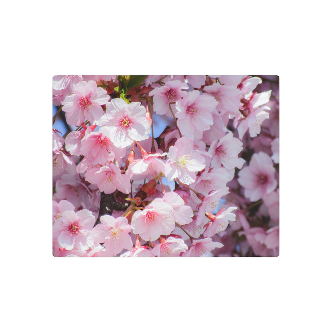 Cherry Blossom Metal Art - Modern Oasis Sensory Design & Art Studio - Home Decor