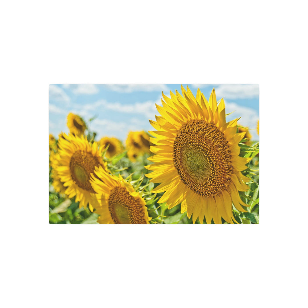 Sunflower Radiance Metal Art - Modern Oasis Sensory Design & Art Studio - Home Decor