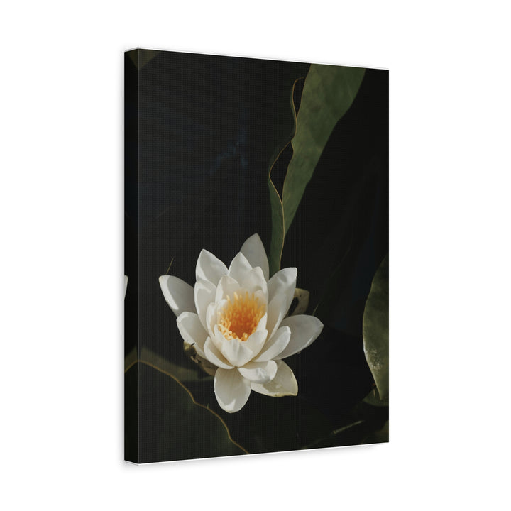 White Lotus - Modern Oasis Sensory Design & Art Studio - Canvas