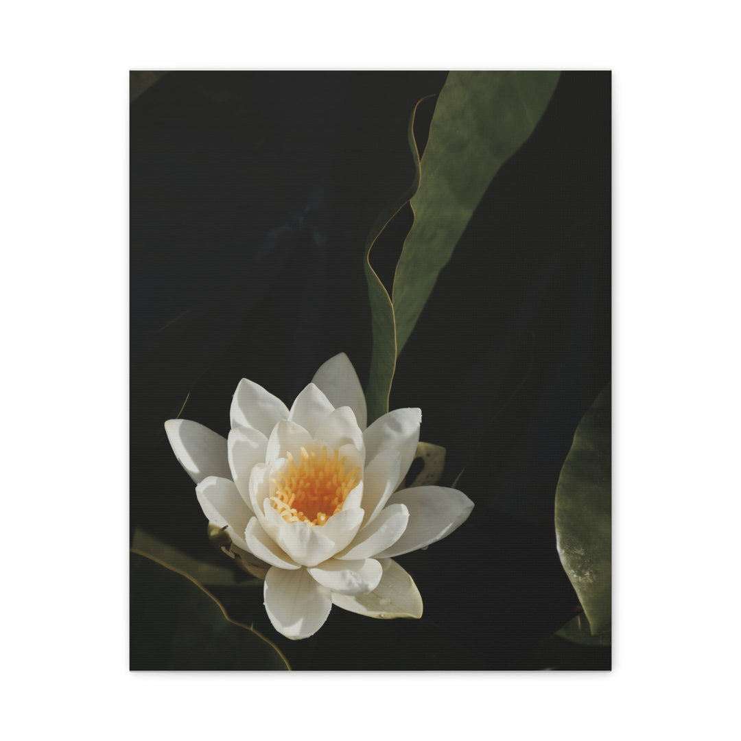 White Lotus - Modern Oasis Sensory Design & Art Studio - Canvas