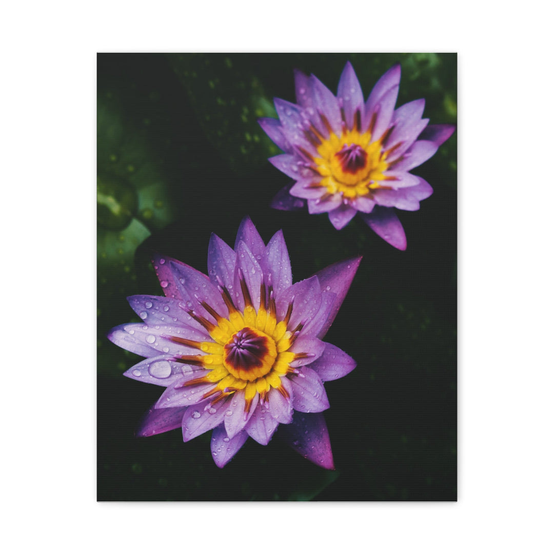 Beautiful Floral - Modern Oasis Sensory Design & Art Studio - Canvas
