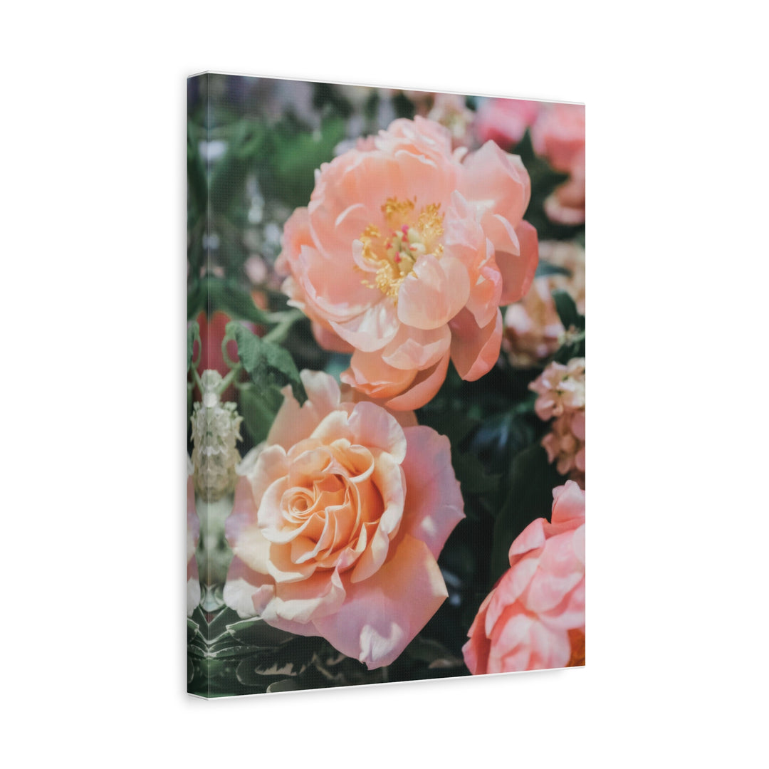 Peach Meadow - Modern Oasis Sensory Design & Art Studio - Canvas