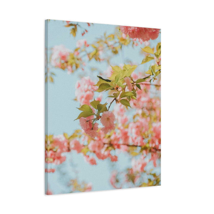 Peace Petals - Modern Oasis Sensory Design & Art Studio - Canvas