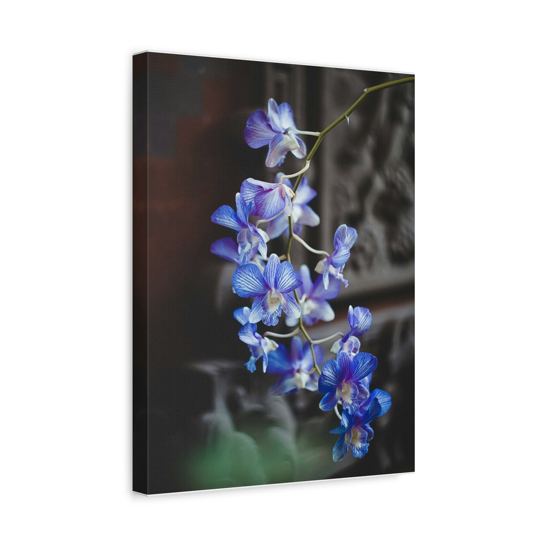 Orchid Blooms - Modern Oasis Sensory Design & Art Studio - Canvas