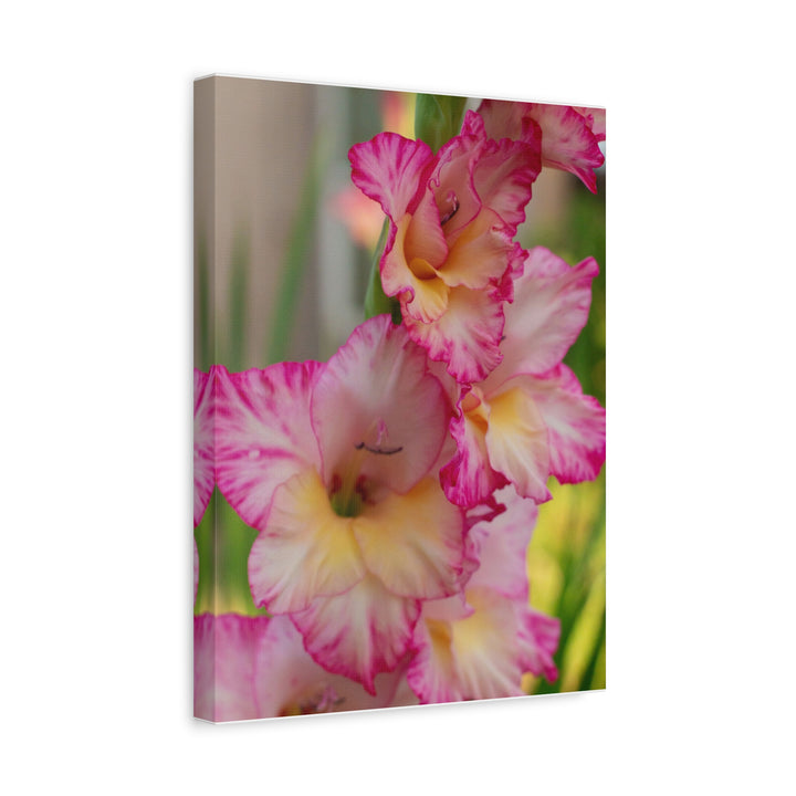 Velvet Bloom - Modern Oasis Sensory Design & Art Studio - Canvas