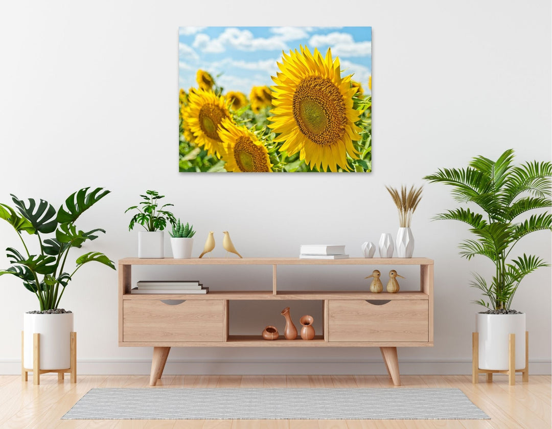 Sunflower Radiance - Modern Oasis Sensory Design & Art Studio - Canvas