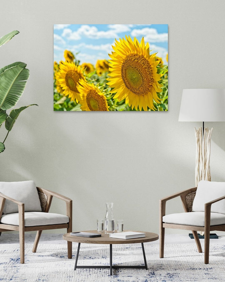 Sunflower Radiance - Modern Oasis Sensory Design & Art Studio - Canvas