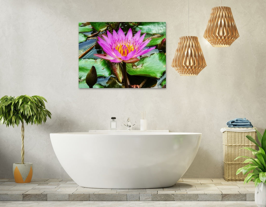 Vibrant Water Lily - Modern Oasis Sensory Design & Art Studio - Canvas