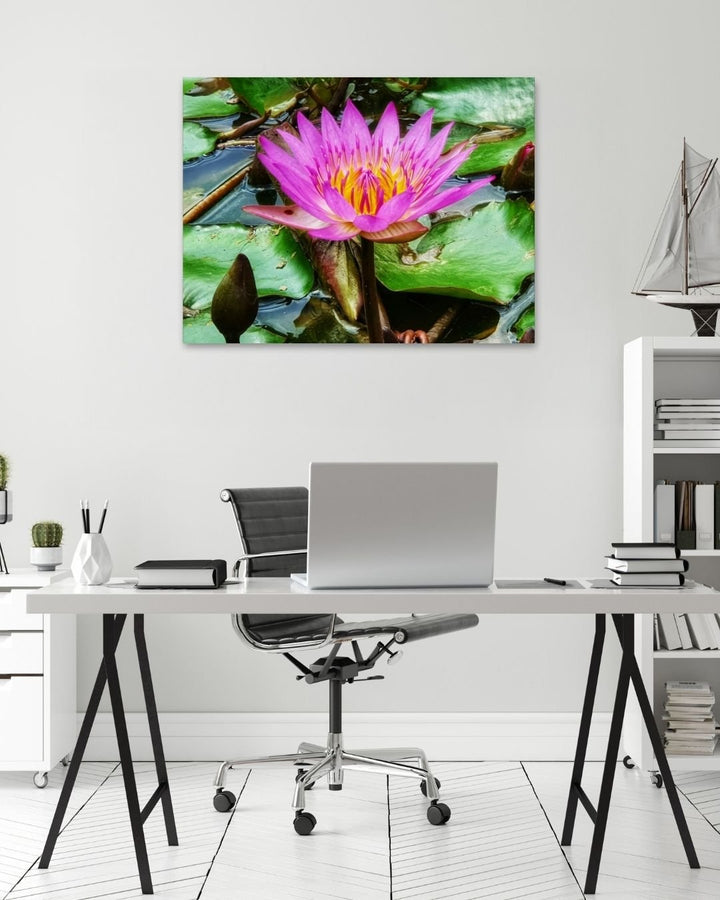 Vibrant Water Lily - Modern Oasis Sensory Design & Art Studio - Canvas