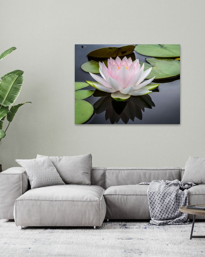 Serene Water Lily - Modern Oasis Sensory Design & Art Studio - Canvas