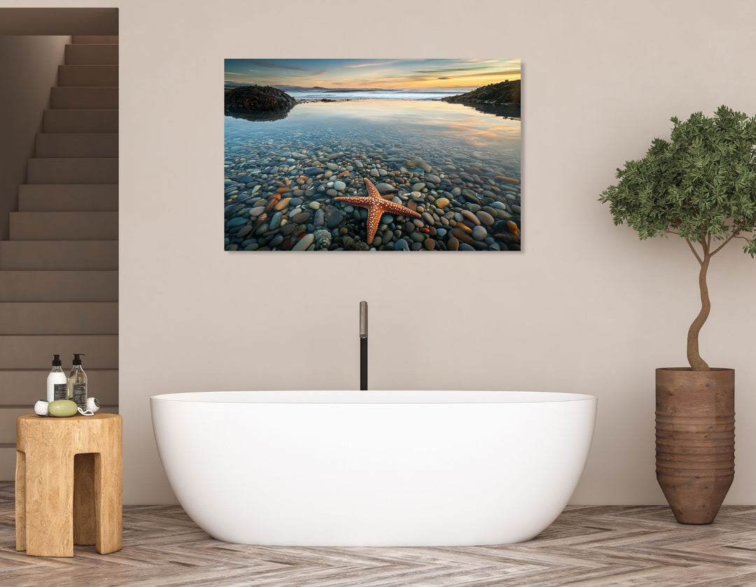 Starfish Calm - Modern Oasis Sensory Design & Art Studio - Canvas