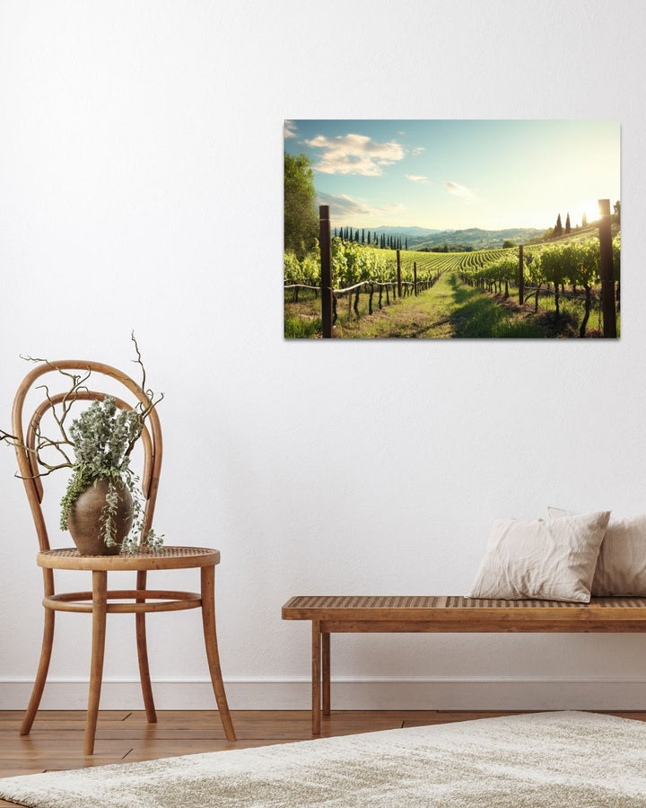 Scenic Vineyard - Modern Oasis Sensory Design & Art Studio - Canvas