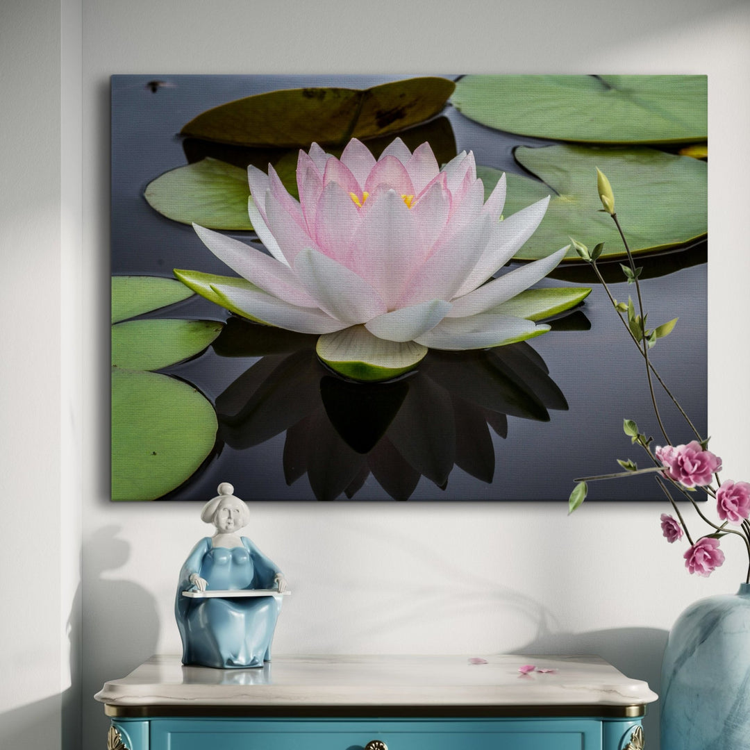Serene Water Lily - Modern Oasis Sensory Design & Art Studio - Canvas